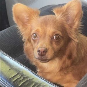 Meet your Posher, Amyah